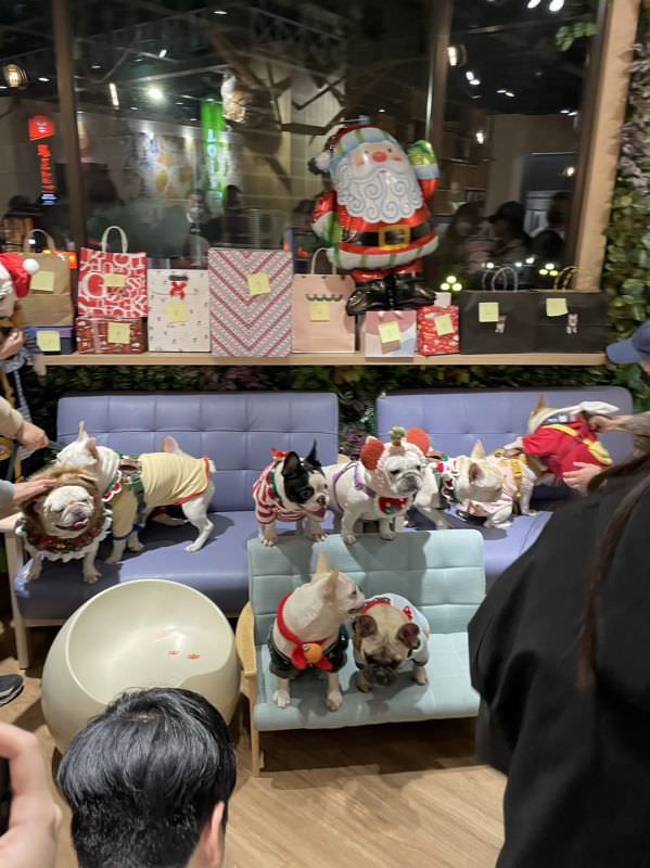 森林小徑精誠店对宠物超友善